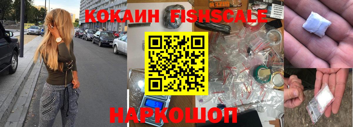 COCAIN Fish Scale  Вход с VPN  Будённовск 
