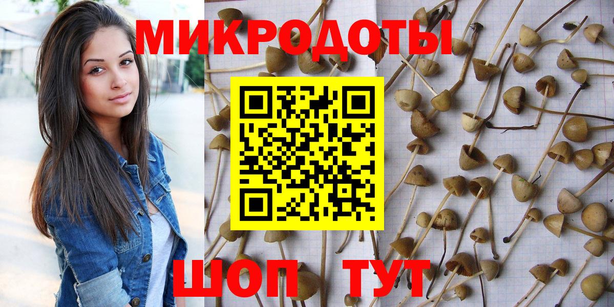 Псилоцибиновые грибы мицелий  Вход с VPN  Галлюциногенные грибы прущие грибы  Будённовск 