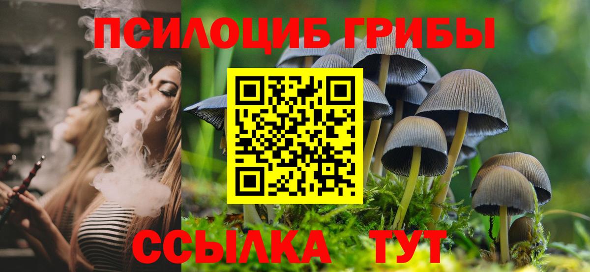 Галлюциногенные грибы мухоморы Будённовск