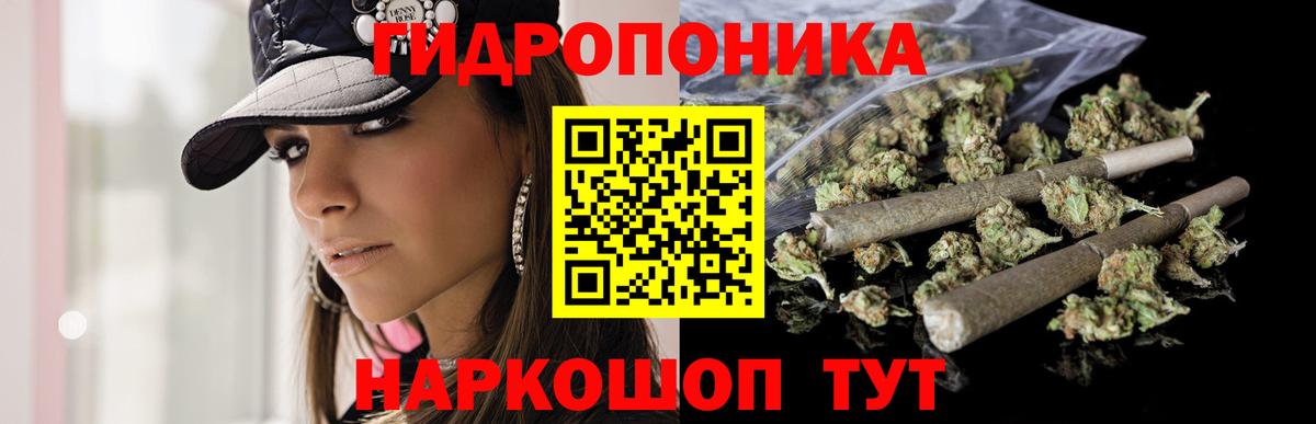 Марихуана конопля  Бошки Шишки план  Вход с VPN  Будённовск  Шишки марихуана семена 